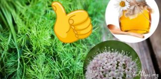 კამა, თაფლი და ვალერიანი- ნაყენი, რომელიც ელვის სისწრაფით გაწმენდს თქვენს სისხლძარღვებს