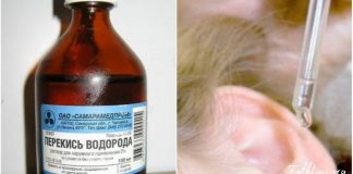 ამ სითხის მხოლოდ 3 წვეთია საჭირო გოგირდის საცობის მოსაშორებლად! ეფექტური საშუალებაა…