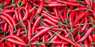 4 ორგანული ტკივილგამაყუჩებელი, ეფექტური შედეგი და არანაირი უკუჩვენება! გაიგეთ მეტი…