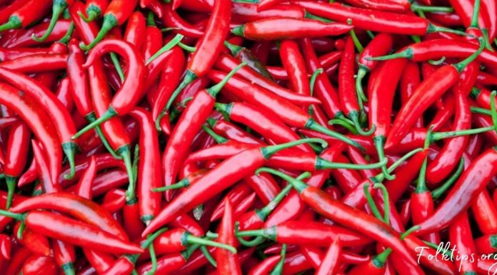 4 ორგანული ტკივილგამაყუჩებელი, ეფექტური შედეგი და არანაირი უკუჩვენება! გაიგეთ მეტი…