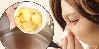 გაციება, გრიპი, სურდო: კოჭა თქვენ გვერდითაა. აი მისი მომზადების წესიც…