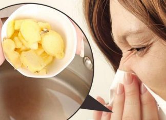 გაციება, გრიპი, სურდო: კოჭა თქვენ გვერდითაა. აი მისი მომზადების წესიც…