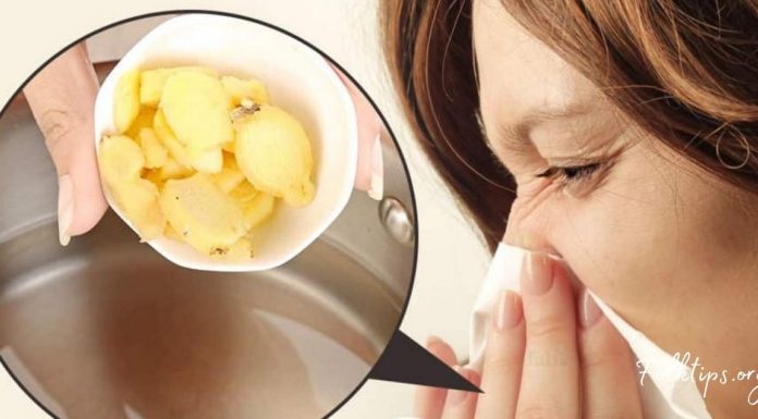 გაციება, გრიპი, სურდო: კოჭა თქვენ გვერდითაა. აი მისი მომზადების წესიც…