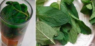 სასმელი, რომელიც მომენტალურად აჯანსაღებს ორგანიზმს-გაიწმინდეთ ღვიძლი მარტივად!