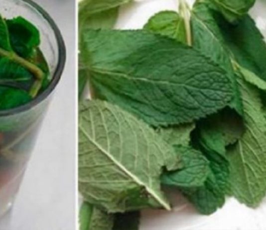 სასმელი, რომელიც მომენტალურად აჯანსაღებს ორგანიზმს-გაიწმინდეთ ღვიძლი მარტივად!