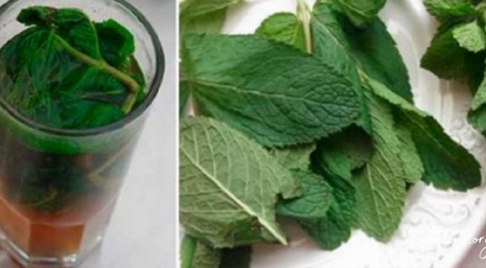 სასმელი, რომელიც მომენტალურად აჯანსაღებს ორგანიზმს-გაიწმინდეთ ღვიძლი მარტივად!