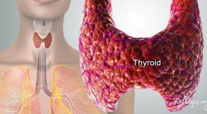 ამ პროდუქტების შემცირებით, თქვენ თავიდან აირიდებთ ფარისებრი ჯირკვლის დაავადებებს!