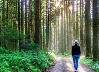 აი რა გავლენას ახდენს ბუნებაში სეირნობა თქვენზე! ამიერიდან სეირნობა თქვენი ჰობი გახდება