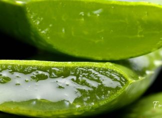 ალოე ვერას 6 უპირატესობა! თუ აკნე და სტრიები გაწუხებთ, ეს საშუალება დაგეხმარებათ!
