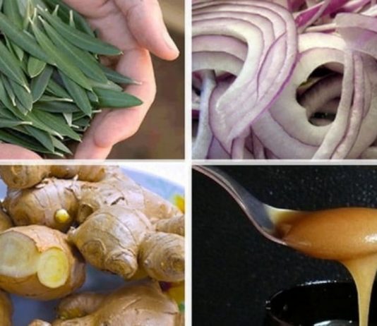 10 ბუნებრივი ანტიბიოტიკი-ის, რაც აქამდე არ იცოდით!