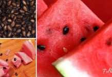 აი, რატომ უნდა გამოიყენოთ საზამთროს კურკა – მიიღეთ საოცარი შედეგი!