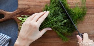 მოიმარაგეთ სახლში კამა და აფთიაქში წასვლა აღარ მოგიწევთ. მას საოცარი სამკურნალო თვისებები აქვს