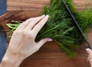 მოიმარაგეთ სახლში კამა და აფთიაქში წასვლა აღარ მოგიწევთ. მას საოცარი სამკურნალო თვისებები აქვს