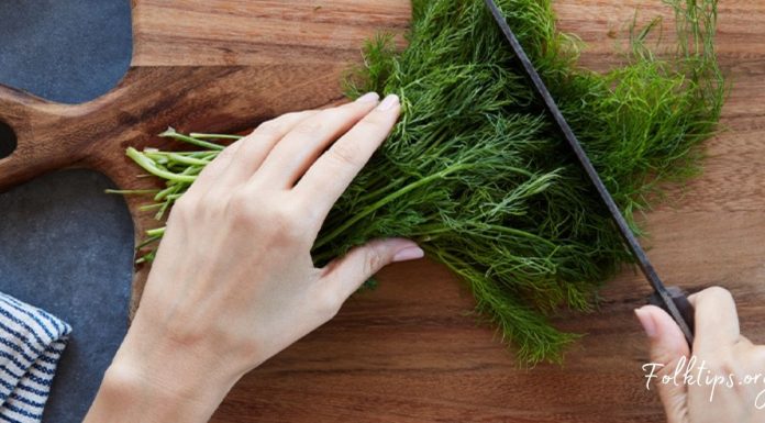 მოიმარაგეთ სახლში კამა და აფთიაქში წასვლა აღარ მოგიწევთ. მას საოცარი სამკურნალო თვისებები აქვს