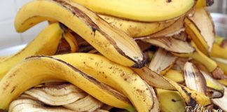 როცა გაიგებთ, თუ რა შეუძლია ბანანის კანს, აუცილებლად დაიწყებთ მის გამოყენებას!
