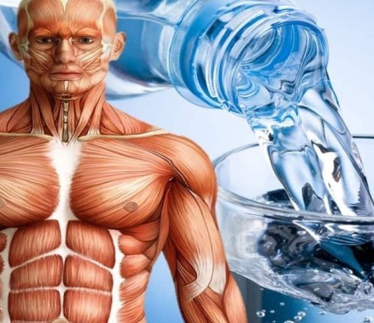 აი, რა დაგემართებათ თუ უზმოზე ყოველ დილით მიირთმევთ წყალს. ამის შემდეგ ასე მოიქცევით