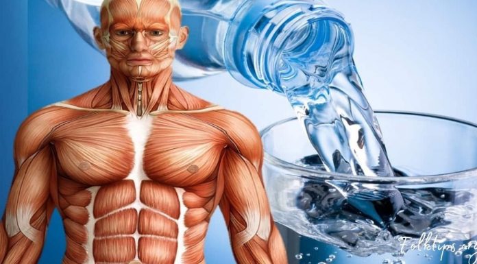 აი, რა დაგემართებათ თუ უზმოზე ყოველ დილით მიირთმევთ წყალს. ამის შემდეგ ასე მოიქცევით