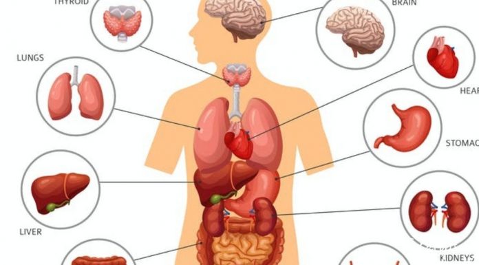აი ასე უნდა გაიწმინდოთ ყველა ორგანო, რომ აღარასოდეს არ დაავადდეთ!