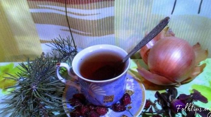 ამ რეცეპტის მთავარ ინგრედიენტს ფიჭვის წიწვები წარმოადგენს და მას აქტიურად იყენებდნენ ჩვენი დიდი ბებიები- რისთვის? გაიგეთ ამ სტატიიდან