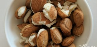 გარგარის კურკის უნიკალური, სასარგებლო თვისებები