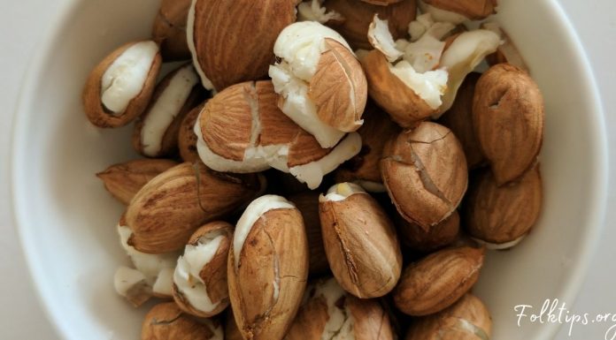 გარგარის კურკის უნიკალური, სასარგებლო თვისებები