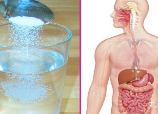 ამ სტატიის წაკითხვის შემდეგ თქვენ ყოველ დილით დალევთ მარილიან წყალს. სასარგებლოა!