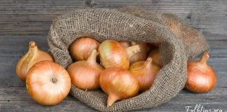 ნაცნობი პროდუქტის ბევრისთვის უცნობი თვისებები. საჭირო და სასარგებლო ინფორმაციაა