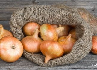 ნაცნობი პროდუქტის ბევრისთვის უცნობი თვისებები. საჭირო და სასარგებლო ინფორმაციაა