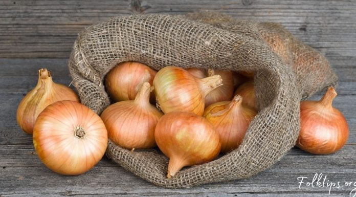 ნაცნობი პროდუქტის ბევრისთვის უცნობი თვისებები. საჭირო და სასარგებლო ინფორმაციაა