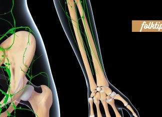 ის, რაც ბევრისთვის უცნობია. ლიმფური სისტემა: 4 მნიშვნელოვანი რამ, რაც უნდა იცოდეთ.