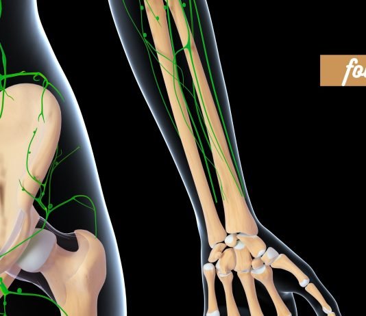 ის, რაც ბევრისთვის უცნობია. ლიმფური სისტემა: 4 მნიშვნელოვანი რამ, რაც უნდა იცოდეთ.