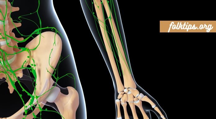 ის, რაც ბევრისთვის უცნობია. ლიმფური სისტემა: 4 მნიშვნელოვანი რამ, რაც უნდა იცოდეთ.