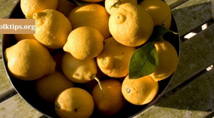 სასიამოვნოდ გამიკვირდა, როცა ეს რეცეპტები აღმოვაჩინე. მეზობელი უკვე 80 წლისაა, სახსრების პრობლემა არ აქვს.