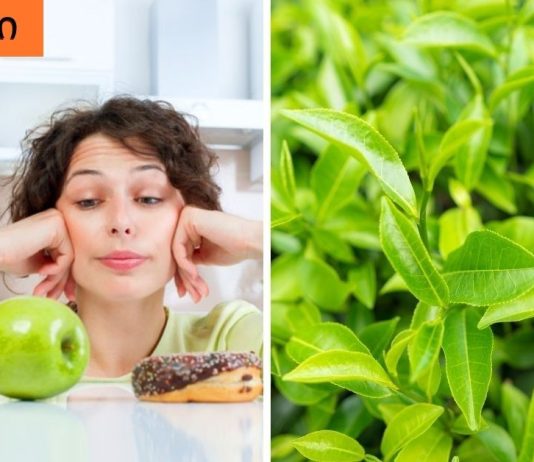 იზრუნეთ თქვენს ჯანმრთელობაზე. როგორ შევამციროთ ქოლესტერინის დონე ბუნებრივი გზით.