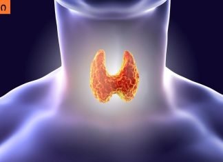 5 ყველაზე სასარგებლო პროდუქტი ფარისებრი ჯირკვლისთვის. საჭირო ინფორმაციაა