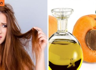 გარგარის ზეთი – ხსნა დაზიანებული თმისთვის,გაყოფილი ბოლოები,ქერტლი და ქავილი.