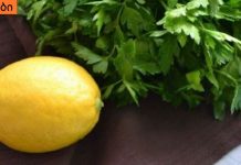 მიიღეთ ეს ნაყენი ყოველდღე და სისხლში ცხიმის დაგროვება შეწყდება, წონაში კი არ მოიმატებთ