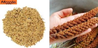 ექიმები პანიკაში არიან! ეს თესლი დაგეხმარება დიაბეტის კონტროლში და 100%-ით ღვიძლისა და თირკმელების ფუნქციის აღდგენაში!