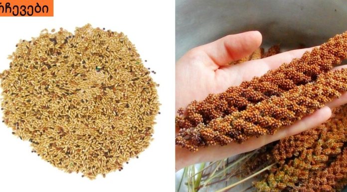 ექიმები პანიკაში არიან! ეს თესლი დაგეხმარება დიაბეტის კონტროლში და 100%-ით ღვიძლისა და თირკმელების ფუნქციის აღდგენაში!