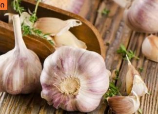 რატომ არ ნიშნავენ მას ექიმები? ნიორი კლავს 12 სახის ბაქტერიულ ინფექციას.