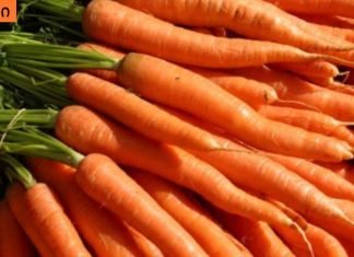 ყველაზე ჯანსაღი გახდომის მეთოდი.სტაფილო გასახდომად.