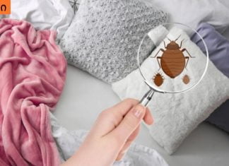 რას გვირჩევენ მეცნიერები საწოლის გასწორებასთან დაკავშირებით? შენ ამას აღარასდორს იზავ!