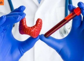 რაც ყველა ქალმა უნდა იცოდეს, ყველაფერი ჰორმონების შესახებ!