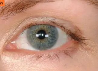 რა განსაზღვრავს წამწამების ჯანმრთელობას,რატო ცვივა წამწამები და როგორ მოვიქცეთ.