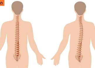 უმარტივესი ვარჯიში, რომელიც ხერხემალს გააჯანსაღებს-ეფექტურია!