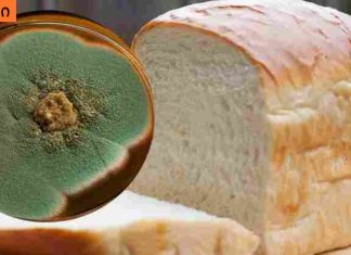 ეს 10 ტოქსიკური პროდუქტი სოკოთი მდიდარია, ამის შემდეგ მათ აღარ გაეკარებით!