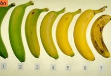 რა ბანანი უნდა მიირთვათ მწვანე თუ მუქი წერტილებით