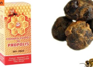 თანამედროვე მედიცინაც კი მზადაა დაიჩოქოს ამ უნიკალური ნივთიერების წინაშე.პროპოლისი არის ძლიერი იმუნომოდულატორი, რომელიც მუშაობს უჯრედულ დონეზე