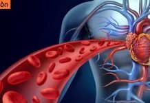 ჯანმრთელობა ლიმფის ეფექტური გაწმენდის შედეგია! ლიმფის გაწმენდის უმარტივესი გზა