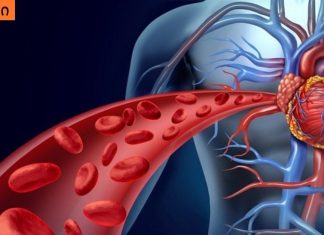 ჯანმრთელობა ლიმფის ეფექტური გაწმენდის შედეგია! ლიმფის გაწმენდის უმარტივესი გზა